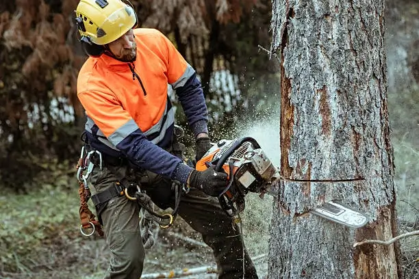 Arborist cutting a tree with a chainsaw while wearing protective safety gear