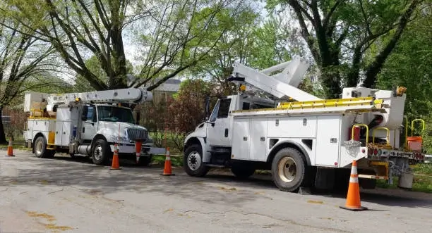 Tree service trucks parked at residential job site